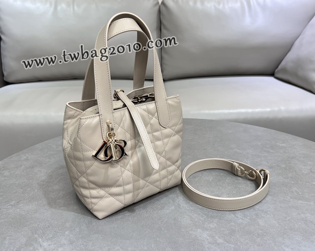 Dior专柜2025新款迪奥高仿原单Toujours竖版手袋牛皮休闲手提女包 djfk1298